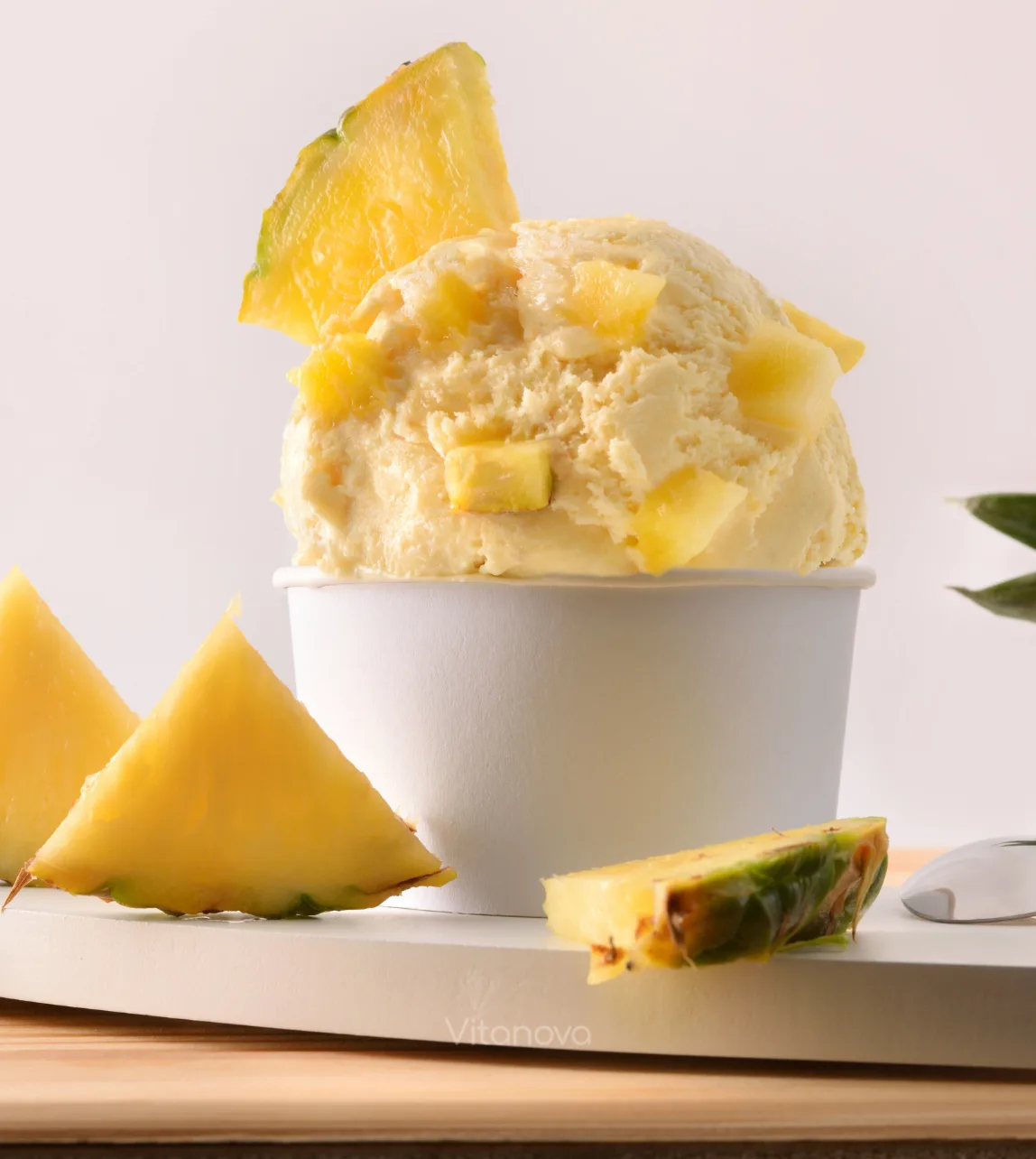 Helado de Yogurt y Frutas