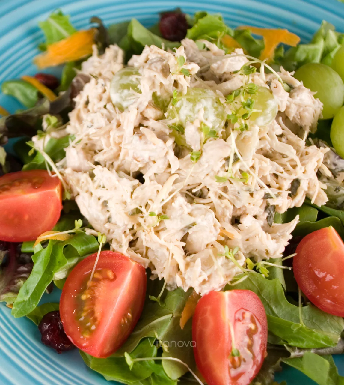 Ensalada de Pollo